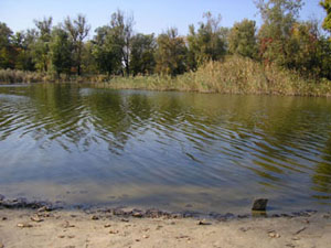 Река Донец